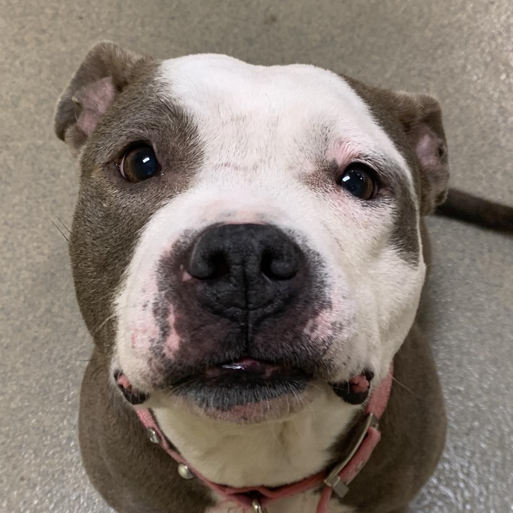 Precious — thumbnail 4