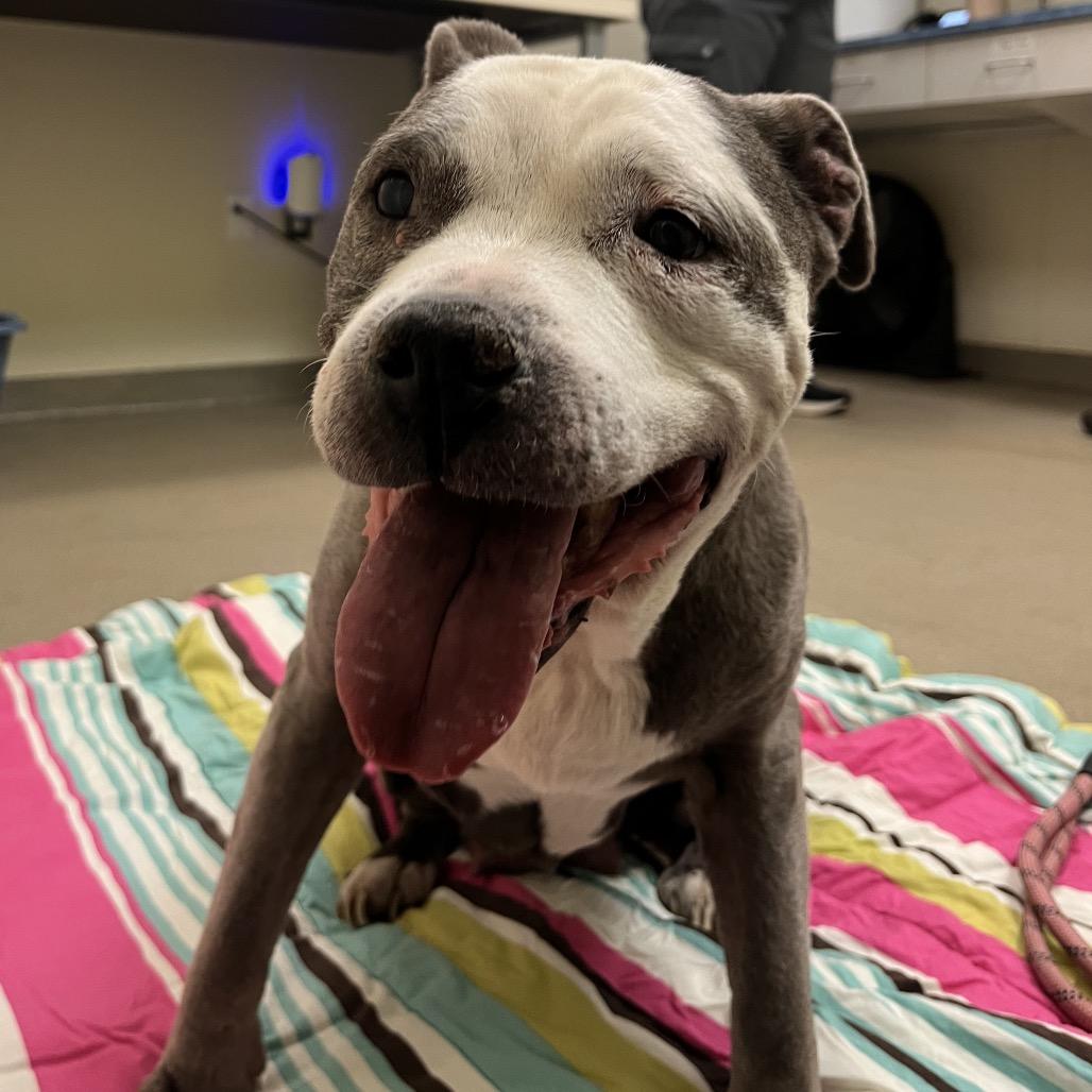 Precious — thumbnail 5