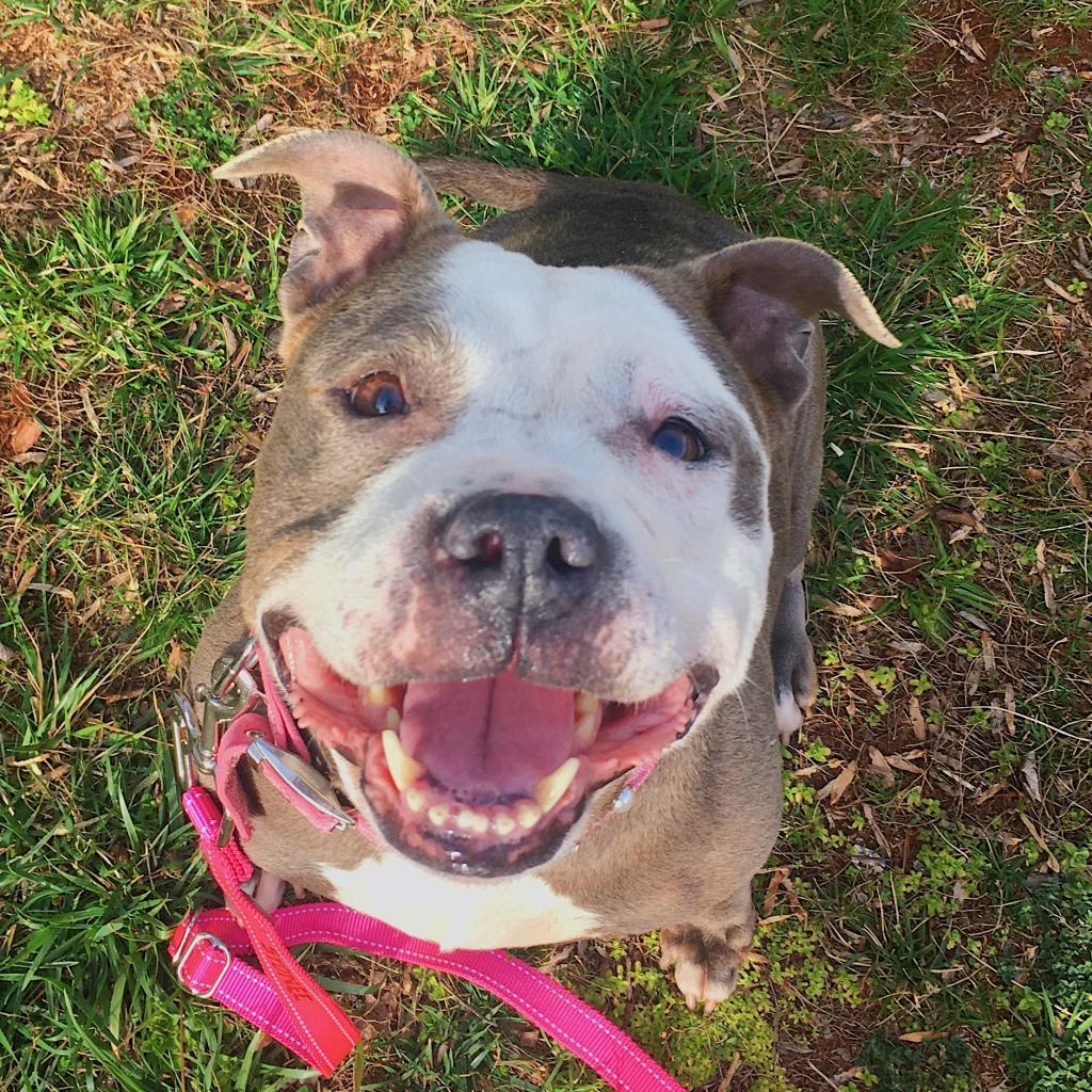 Precious — thumbnail 6