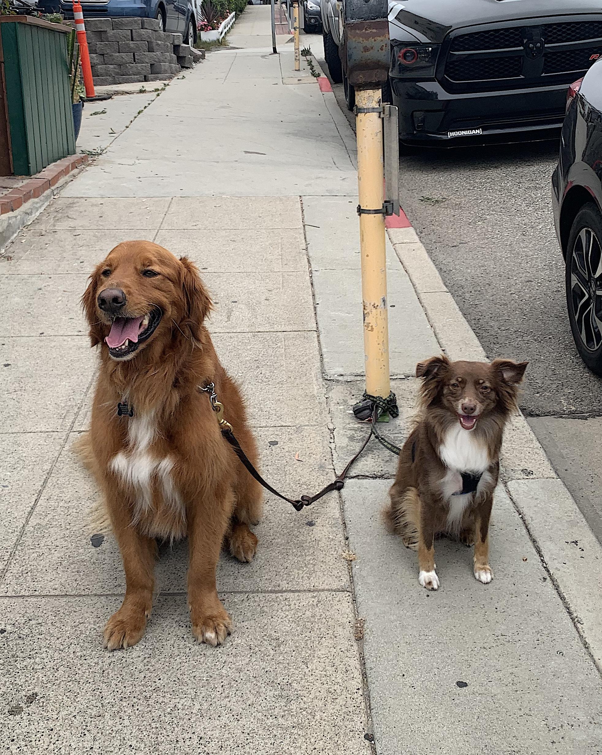 Claire — thumbnail 5