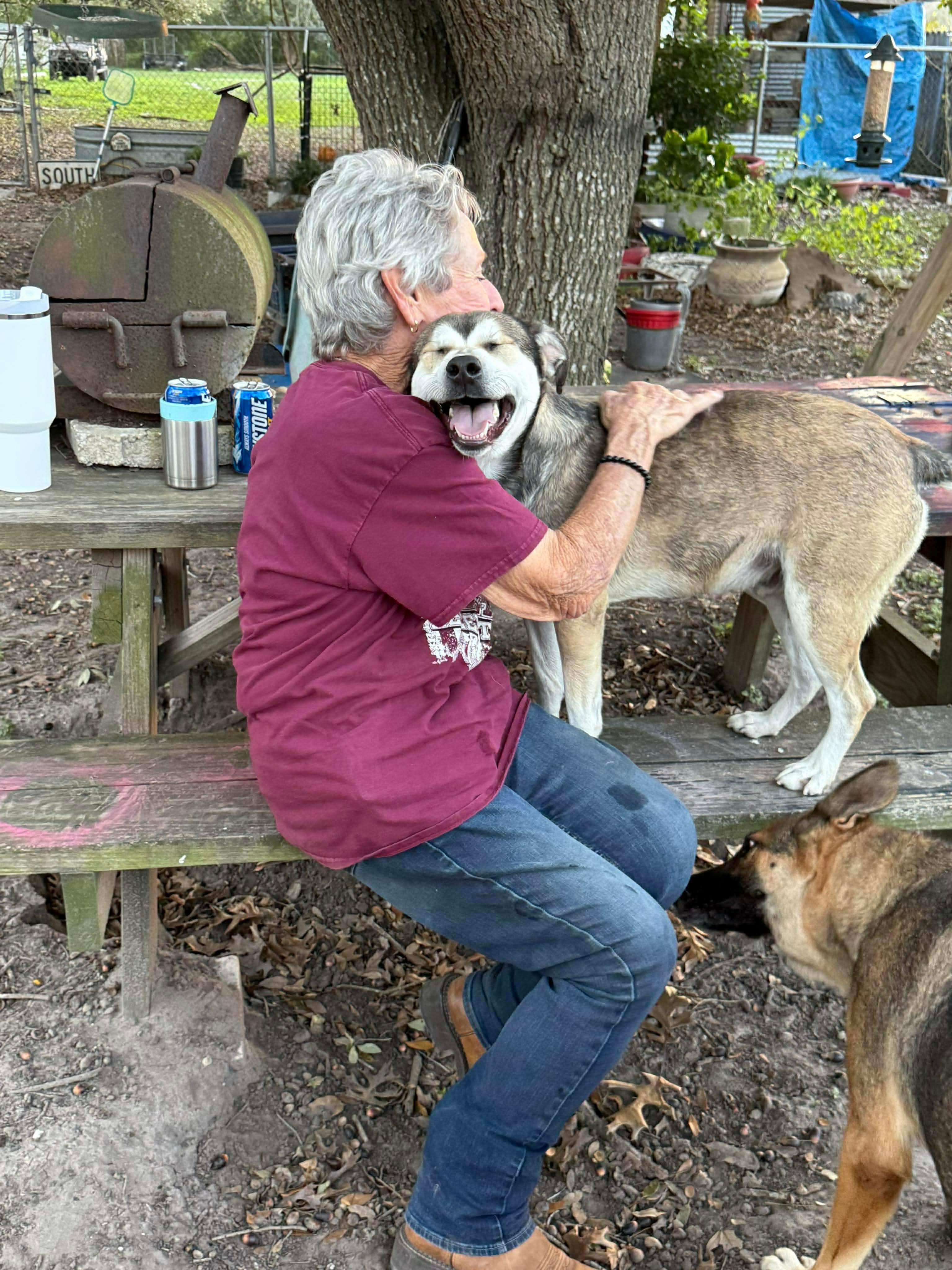 Dan, a Adoptable mixed breed in Indianapolis, IN image 5/6