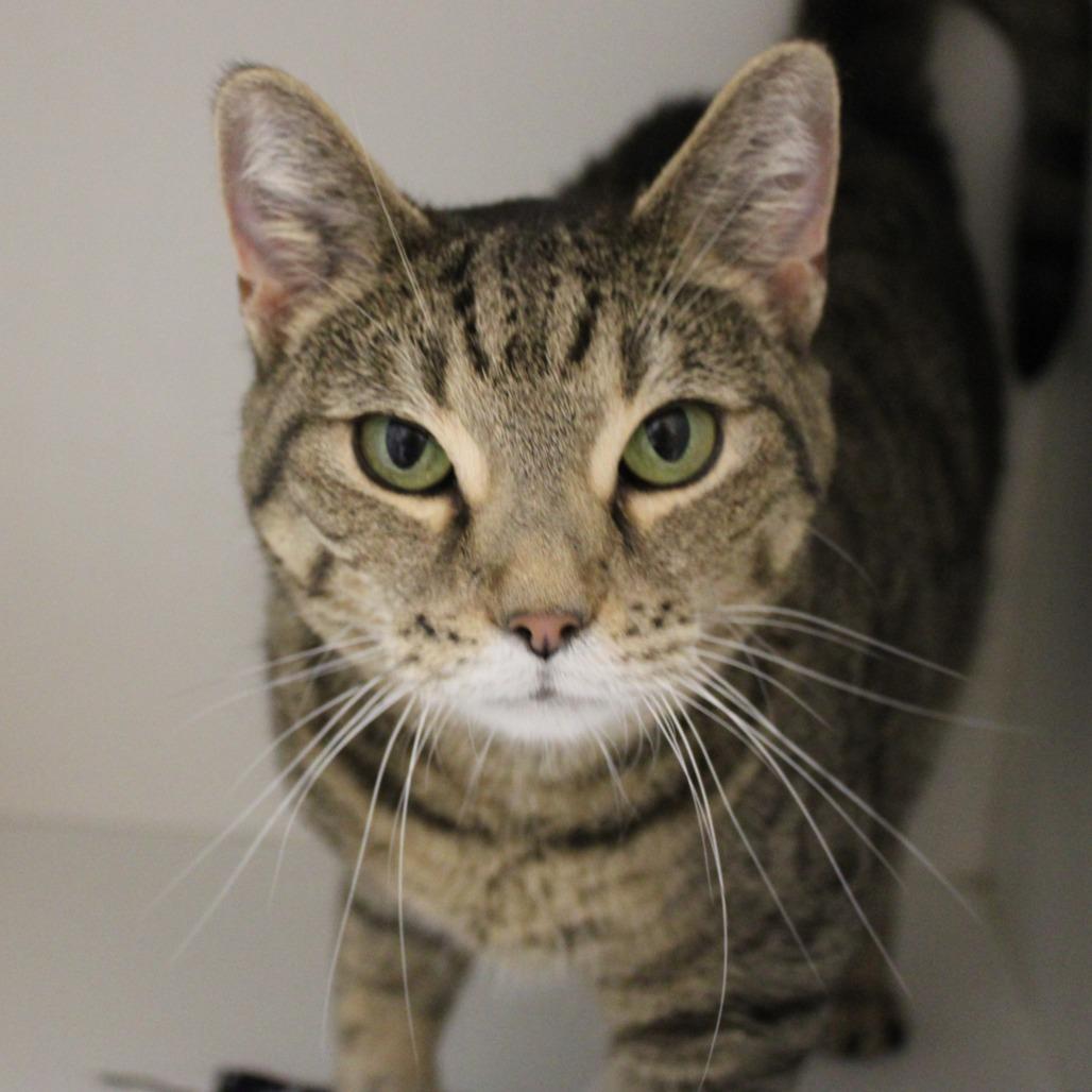 Rachel Ray — thumbnail 3