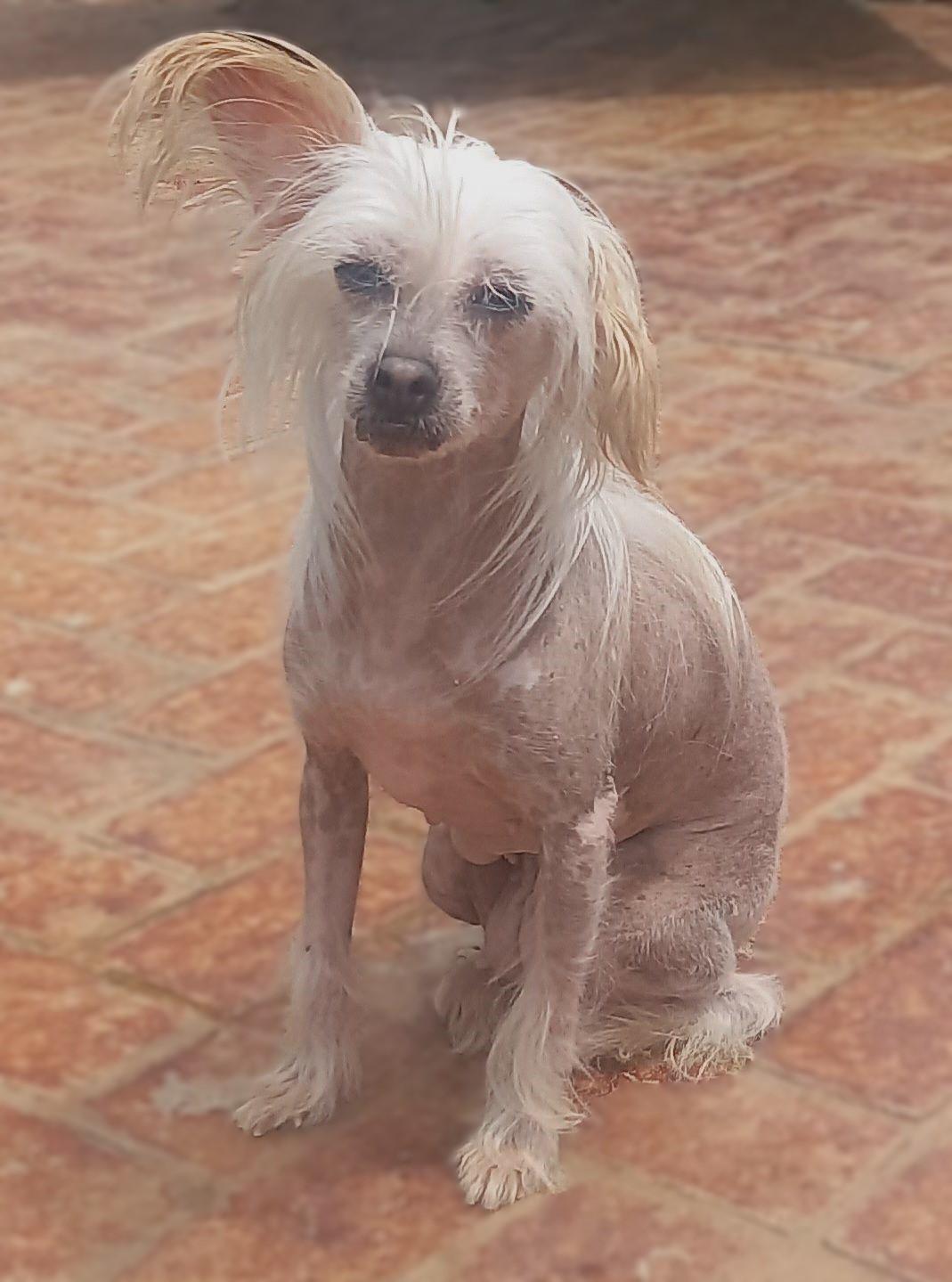 Sabrina photo 6