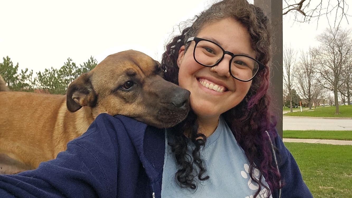 Enlarge Rex, a Adoptable mixed breed in Mokena, IL image 3/6