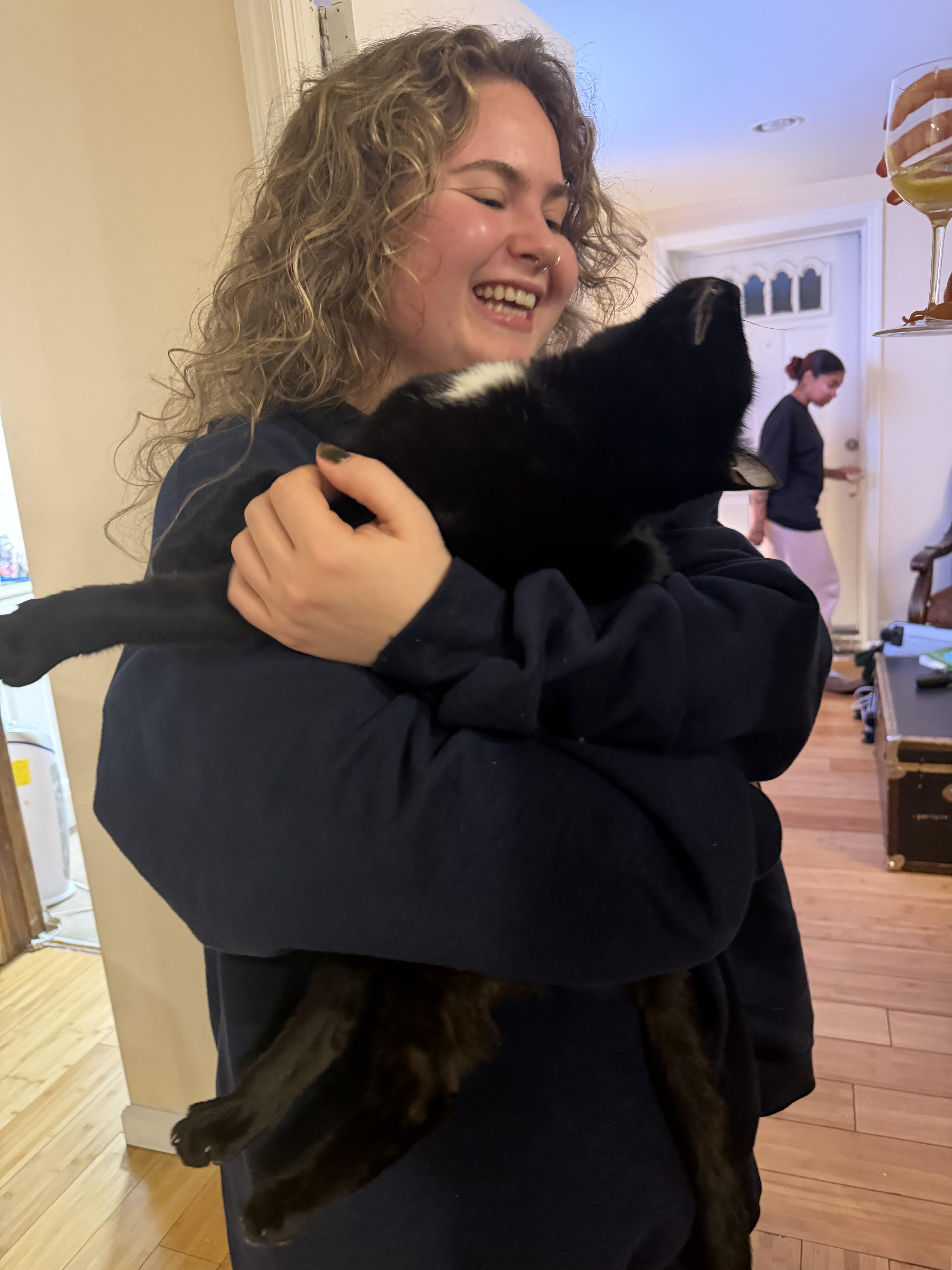 Enlarge Arson, an adopted Domestic Short Hair in Brooklyn, NY image 4/5