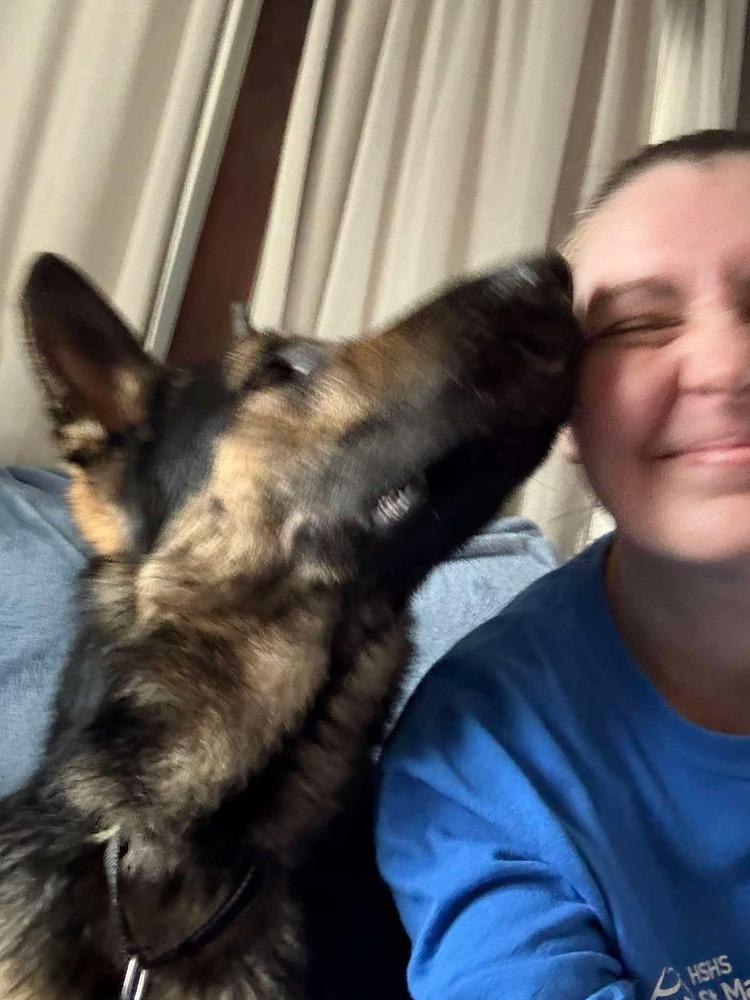 Enlarge Eldon, a Adoptable German Shepherd Dog in Suamico, WI image 2/4