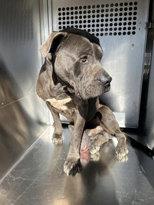 Vecna — thumbnail 2