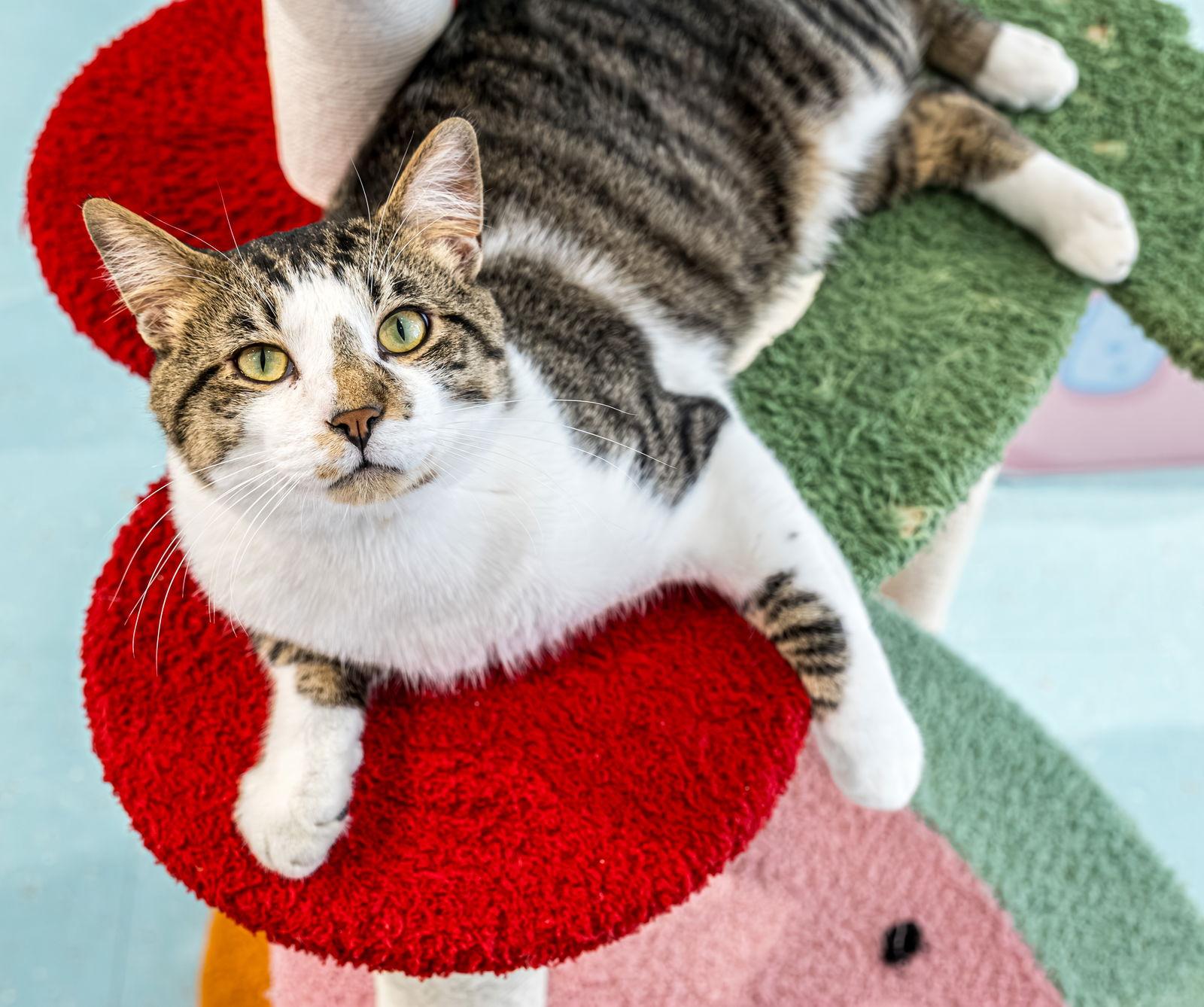 Danny  Kbc thumbnail 3