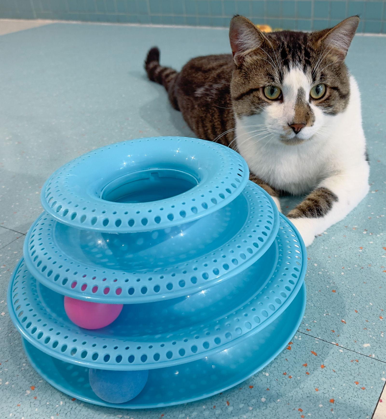 Danny  Kbc thumbnail 4