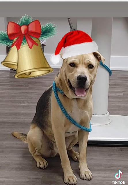 Relay — thumbnail 5