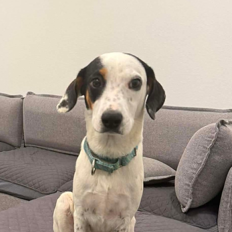 Denise — thumbnail 2