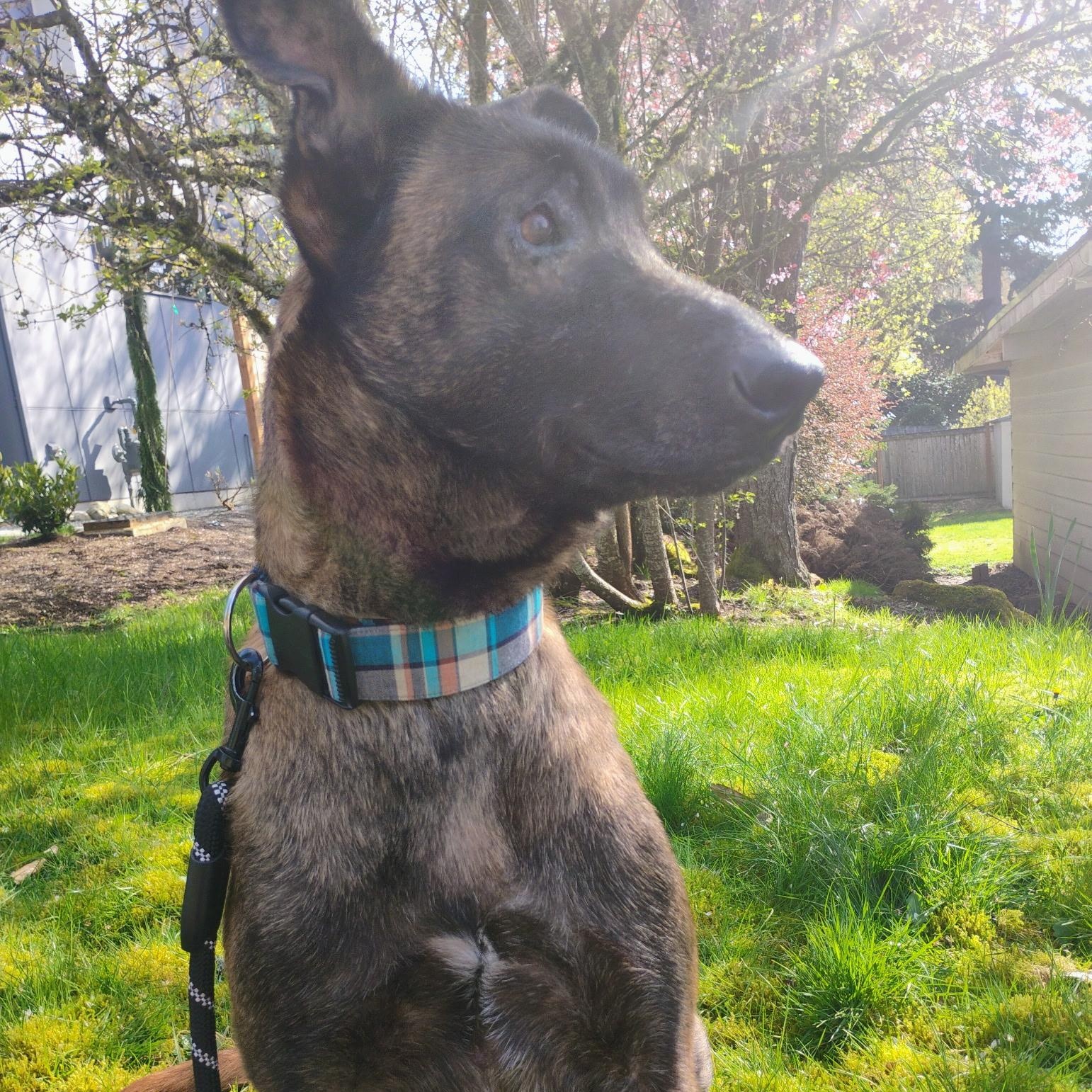 Max photo