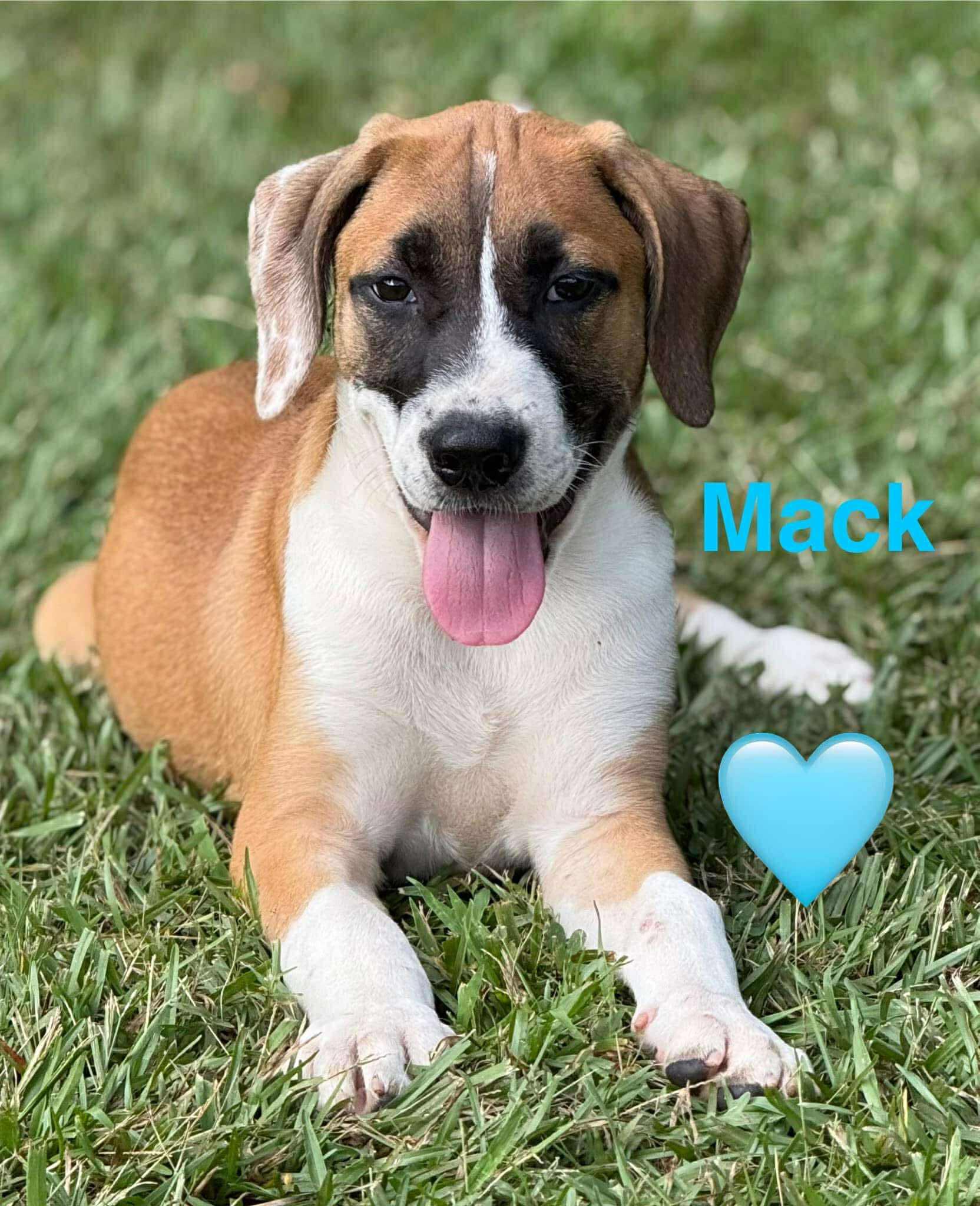 Mack, Baby Male unknown