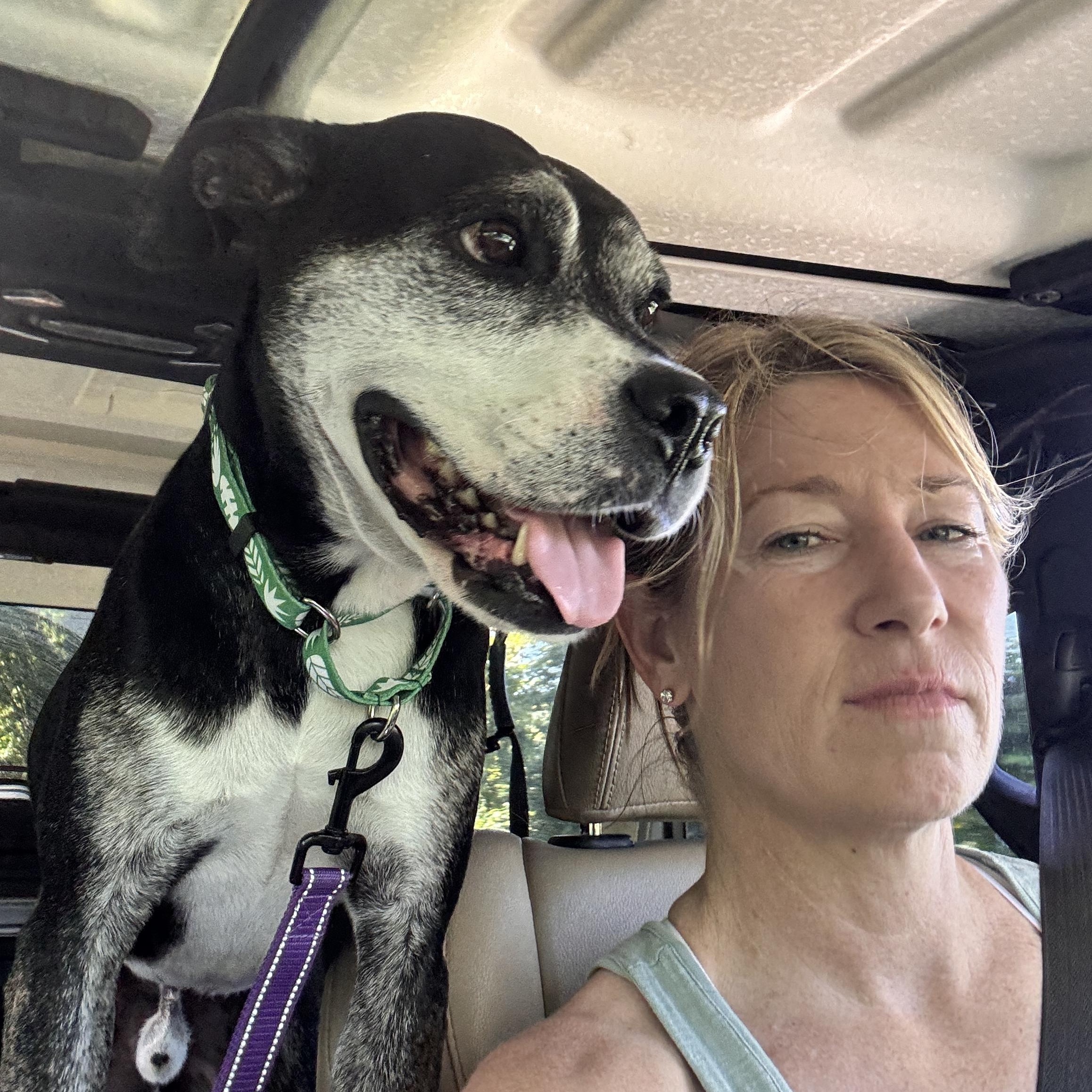 Enlarge Ombre, a Adoptable mixed breed in Rincon, PR image 2/6