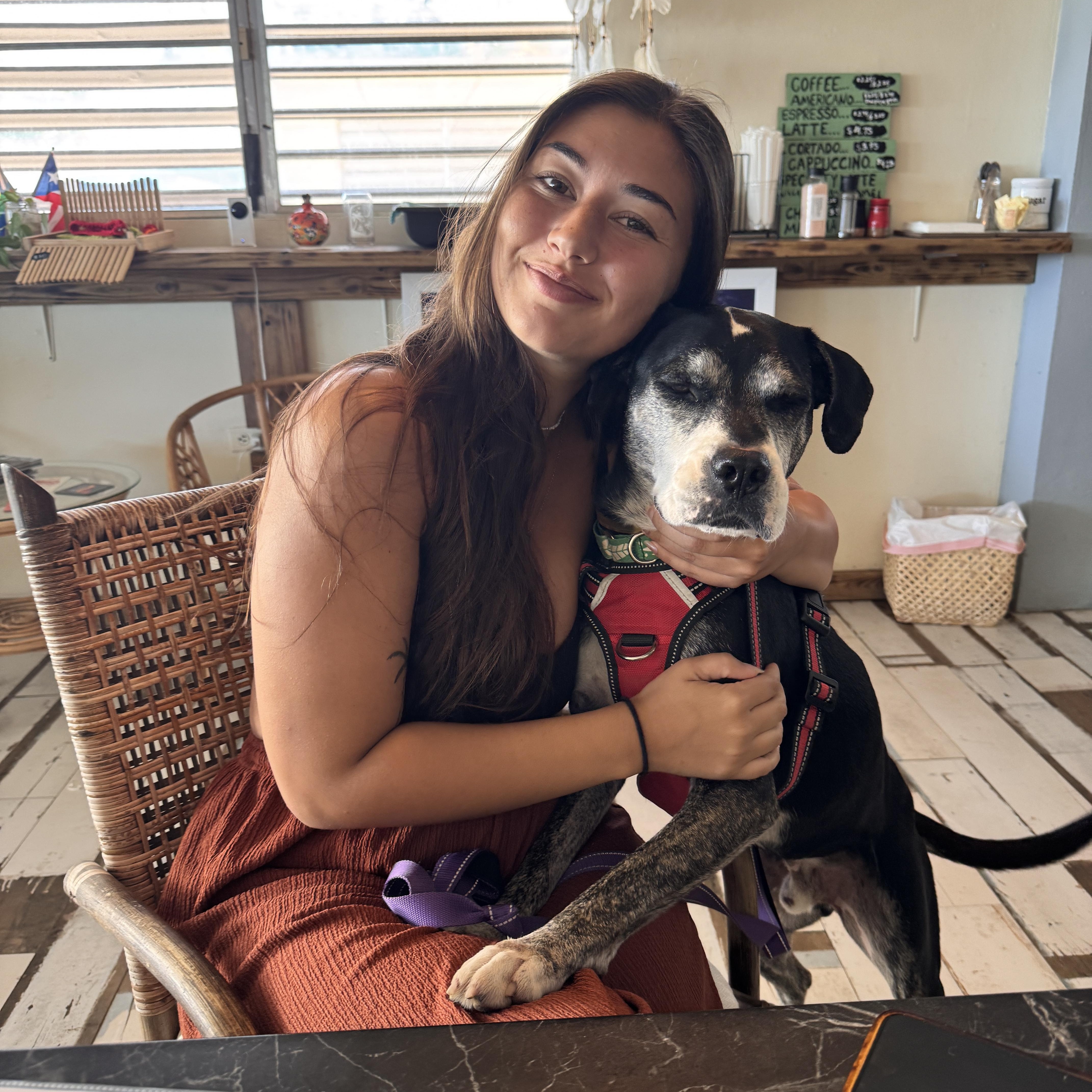 Enlarge Ombre, a Adoptable mixed breed in Rincon, PR image 5/6