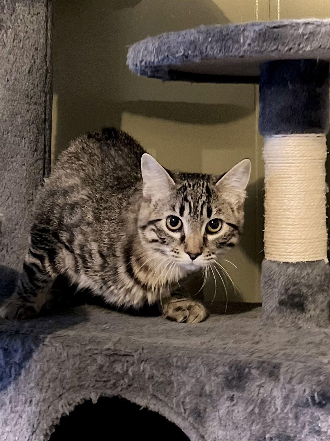 Annie — thumbnail 2