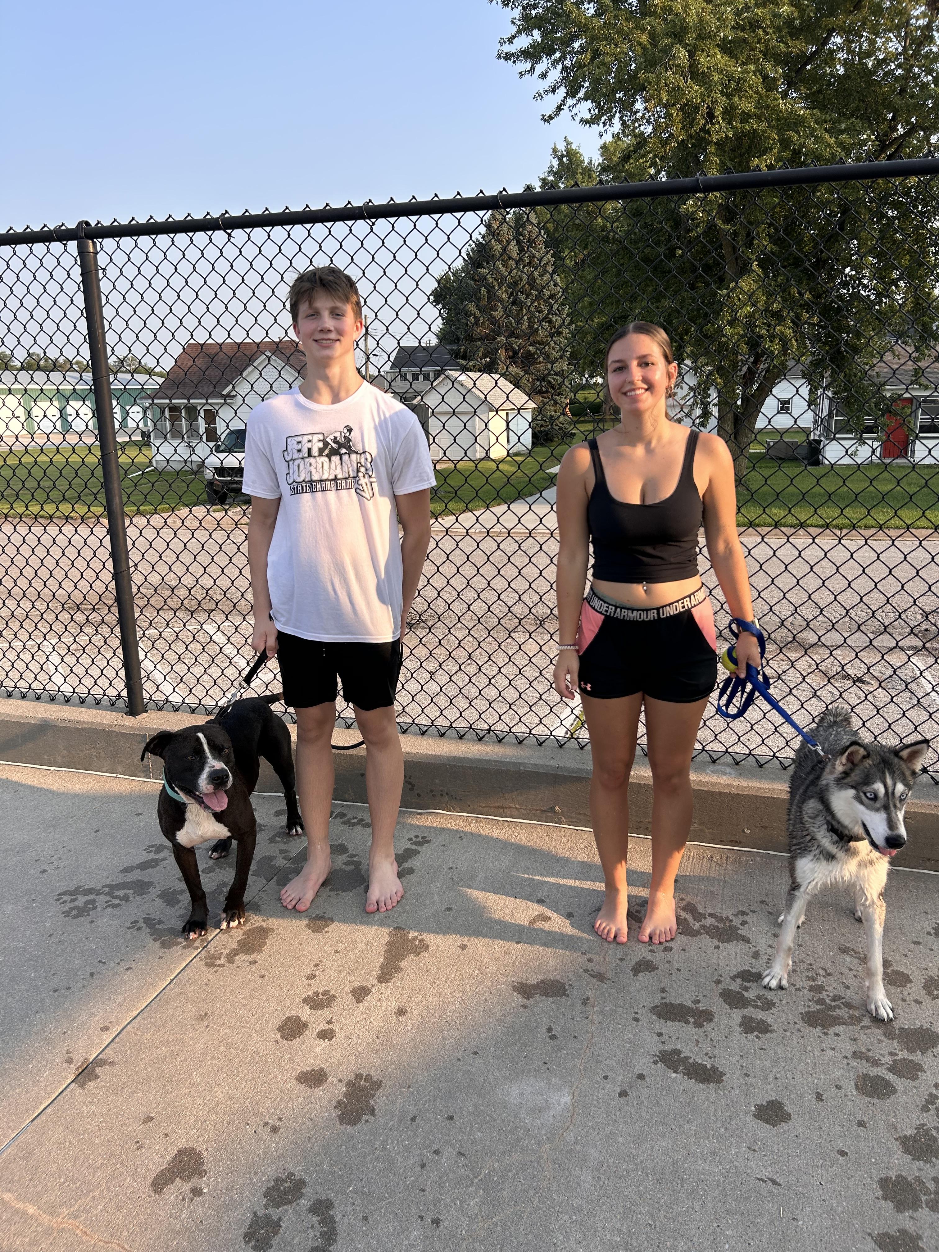 Sapphire, an adopted Husky in Wahoo, NE image 2/2