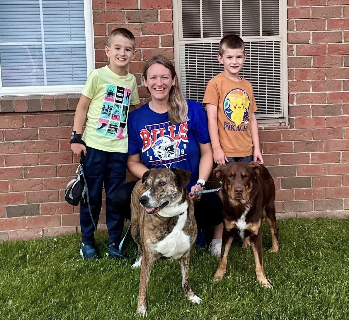 Enlarge Ricky, a Adopted Australian Shepherd in Tonawanda, NY image 3/3