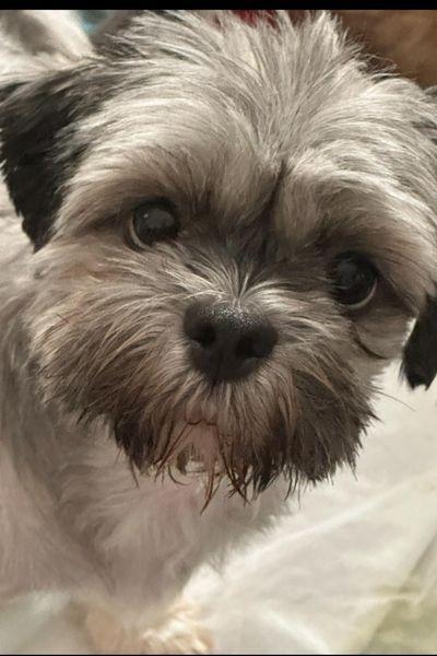 Mama Coco  And thumbnail 3