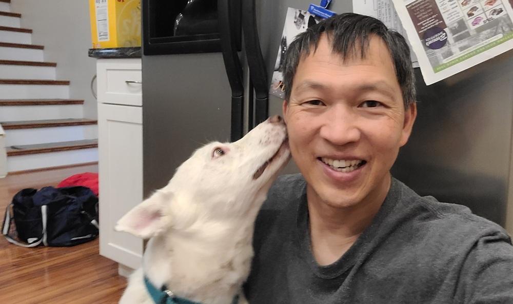 Enlarge K-Pop, a Adoptable mixed breed in Lafayette, CO image 1/6