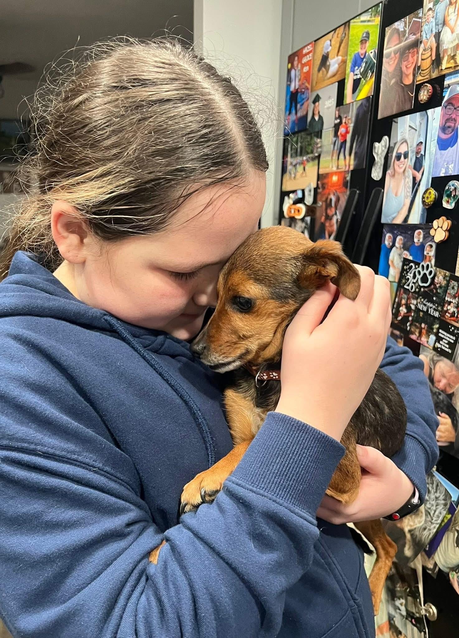 Enlarge Avacado, a ADOPTABLE mixed breed in Yorktown, VA image 2/5