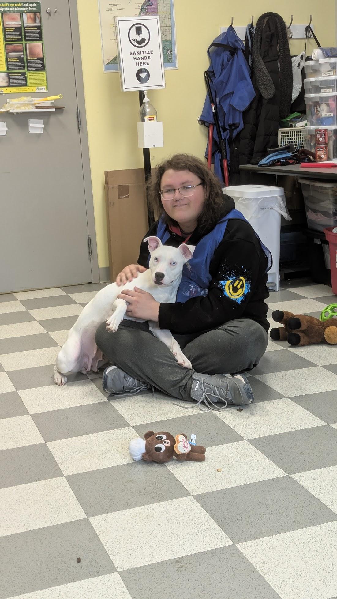 Lady, an adopted Mixed Breed in Benton Harbor, MI image 5/6