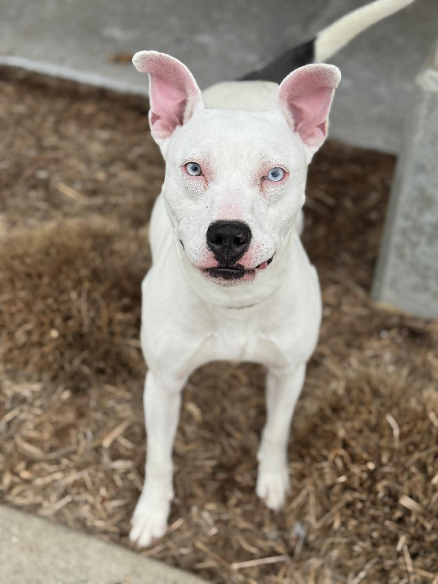 Lady — thumbnail 6