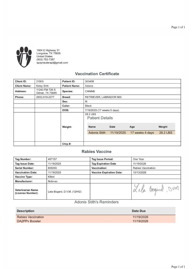 Enlarge Adonis, a Adoptable mixed breed in Gilmer, TX image 1/4