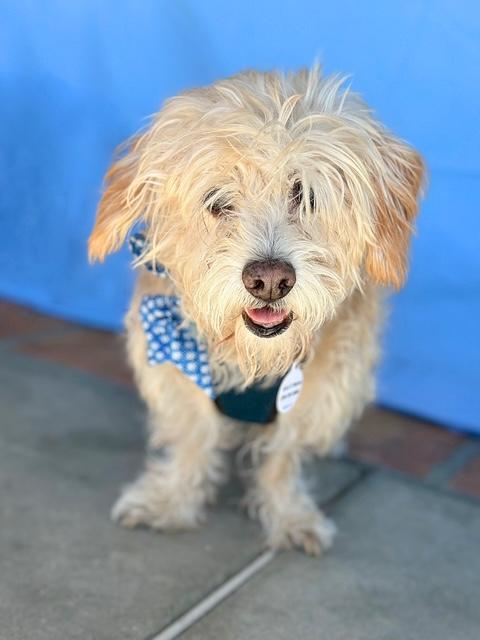 Pattycakes thumbnail 2