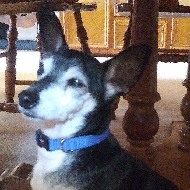 Jake — thumbnail 2