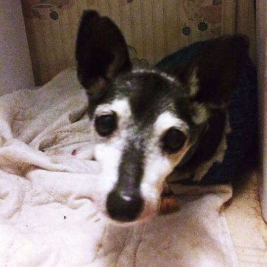 Jake — thumbnail 5