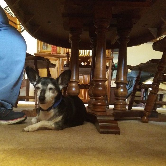 Jake — thumbnail 6