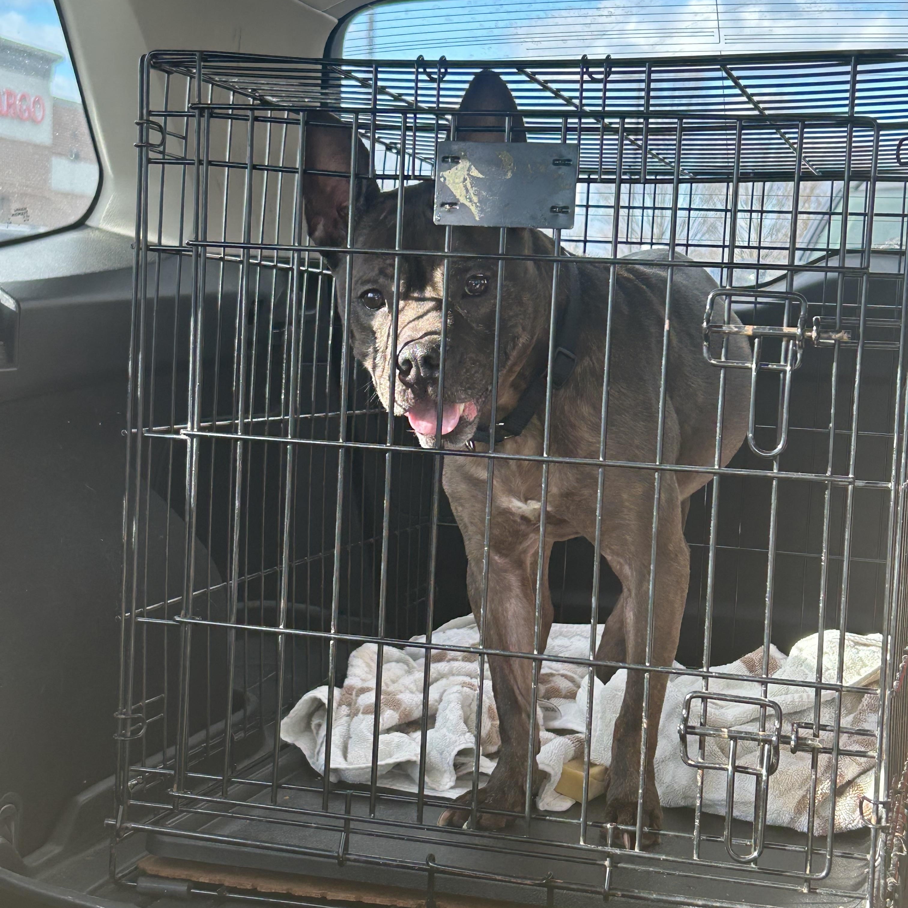 Princess Peach thumbnail 2