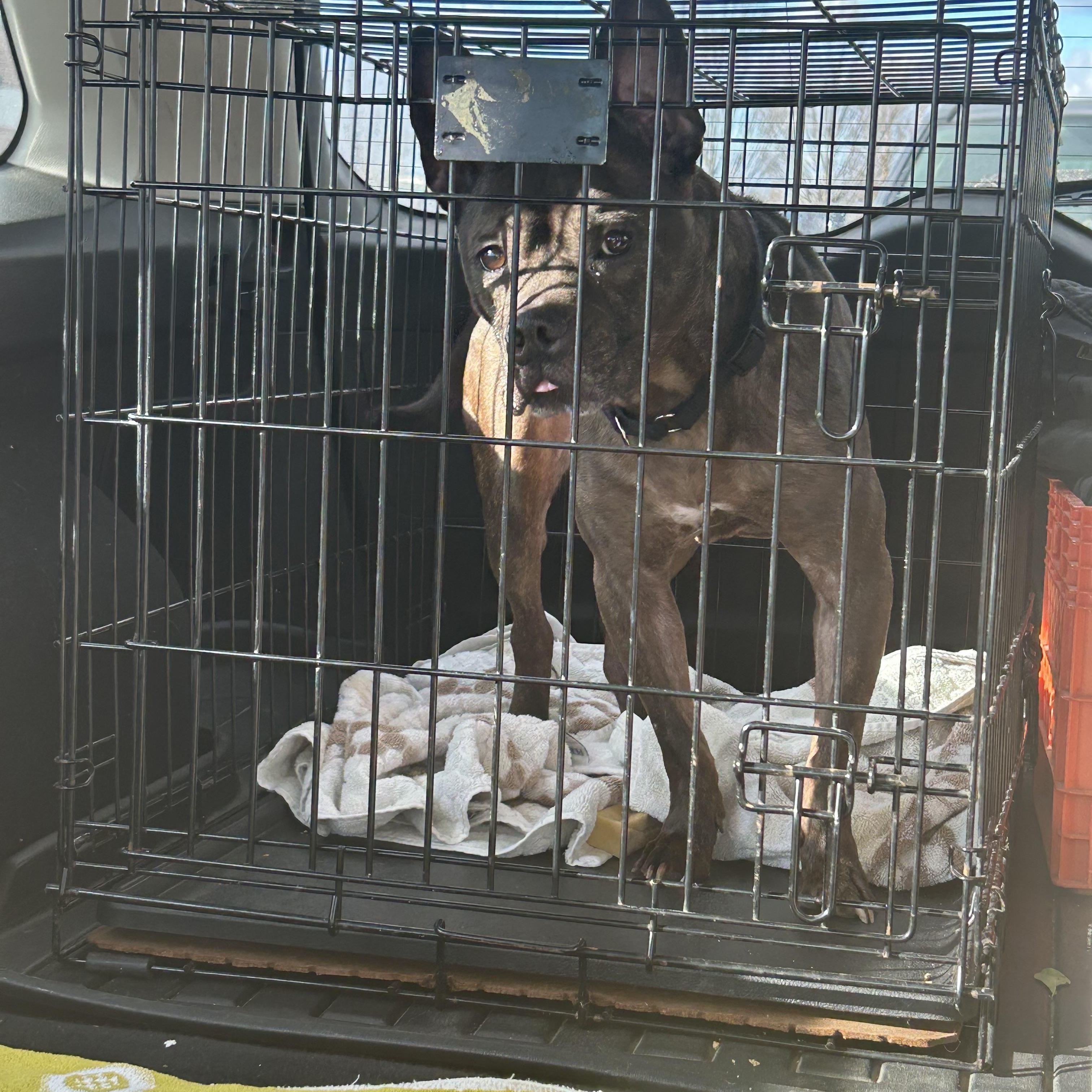 Princess Peach thumbnail 4