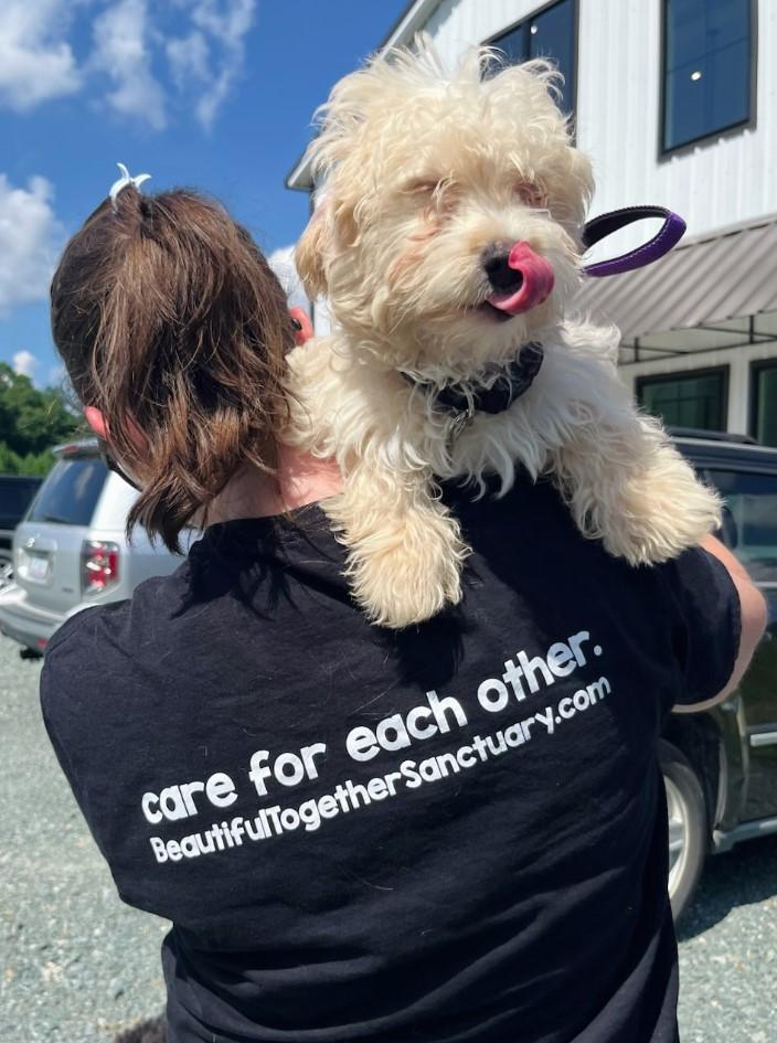 Enlarge Marshmallow, a Adopted mixed breed in Chapel Hill, NC image 2/2