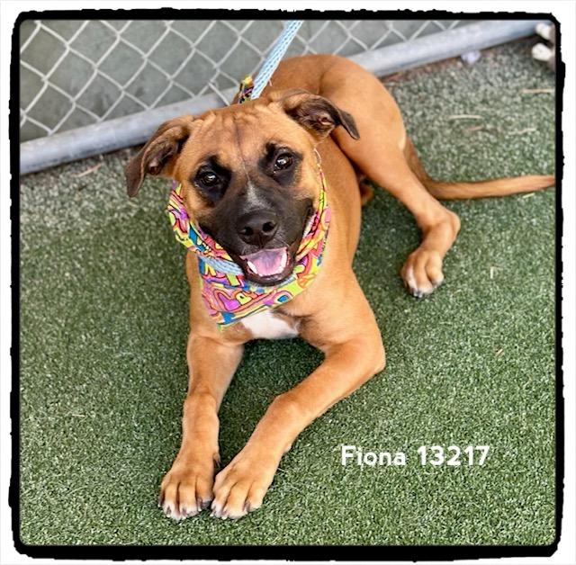 FIONA