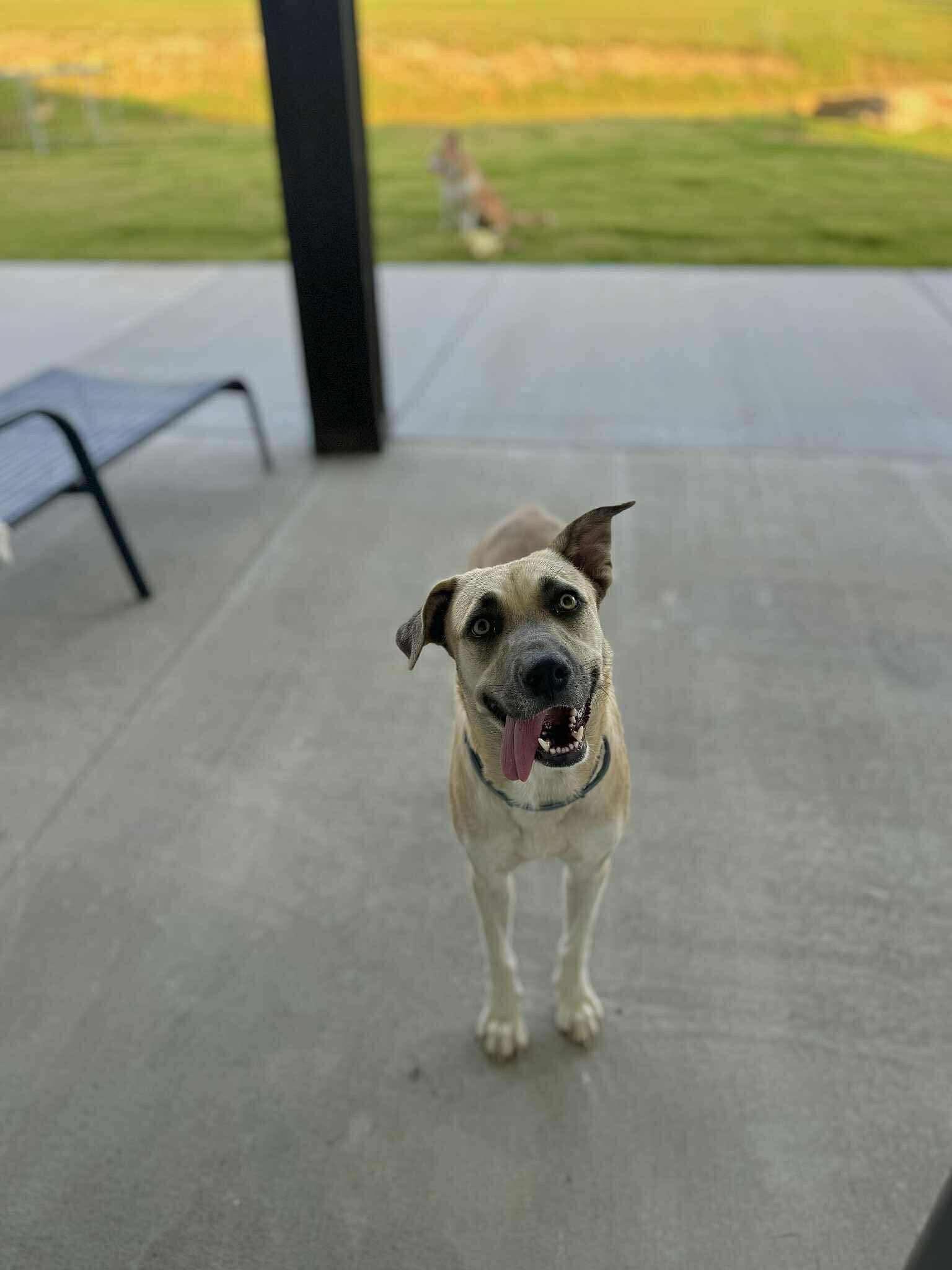 GRACE-Gorgeous Girl