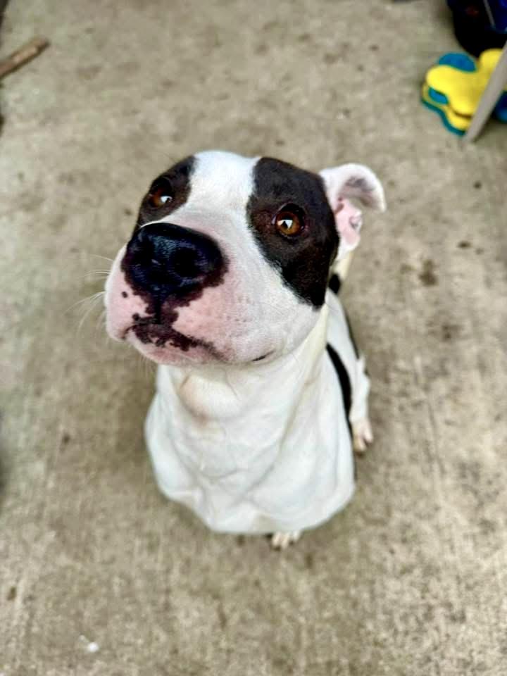 Kelly — thumbnail 2