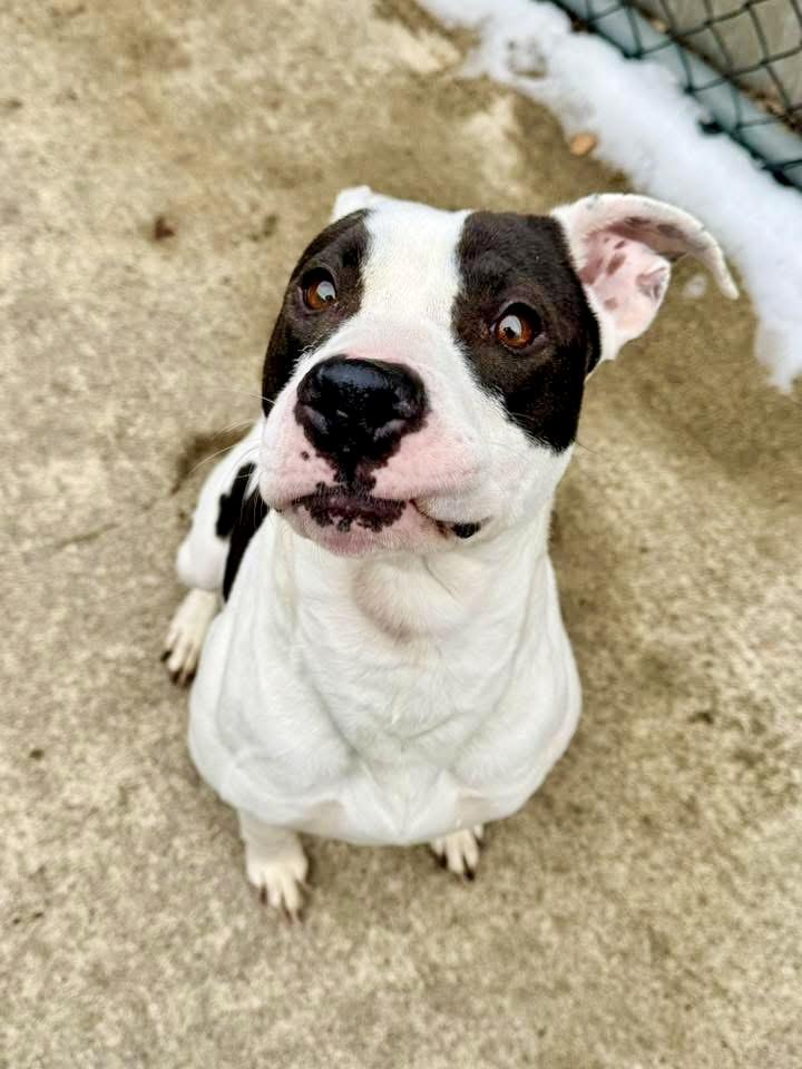 Kelly — thumbnail 3