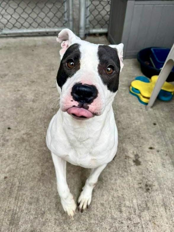 Kelly — thumbnail 4