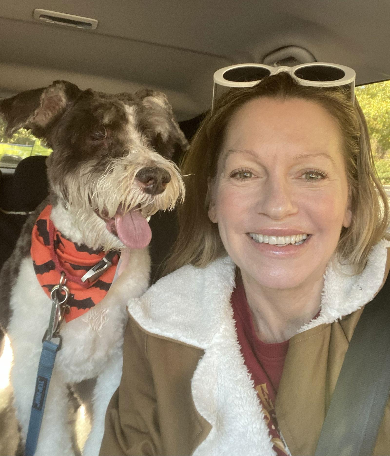 Enlarge CHARLIE (SRC3603)  IN SOUTH CAROLINA, a Adopted Schnauzer in Lenoir, NC image 2/3