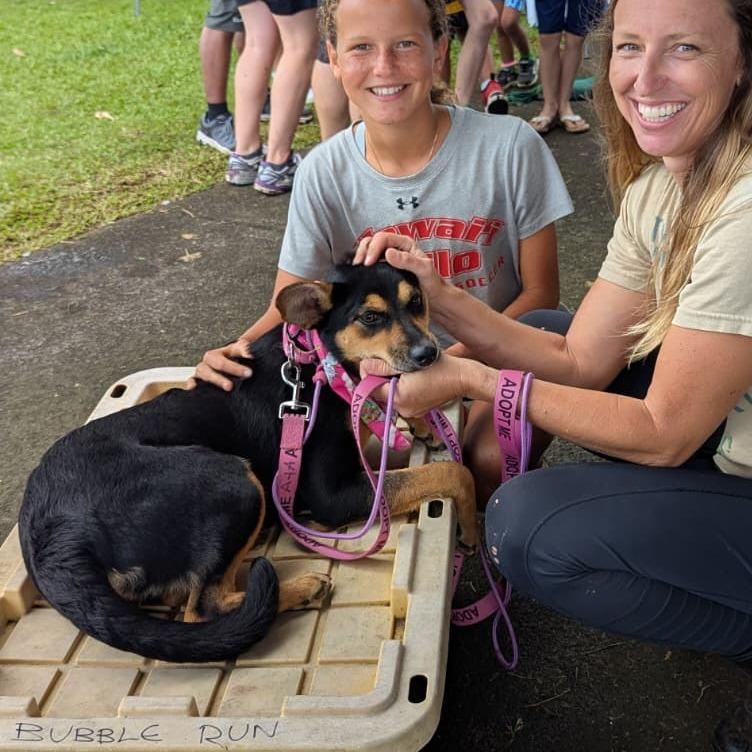 Enlarge Hinalani, a Adoptable Mixed Breed in Volcano, HI image 4/6