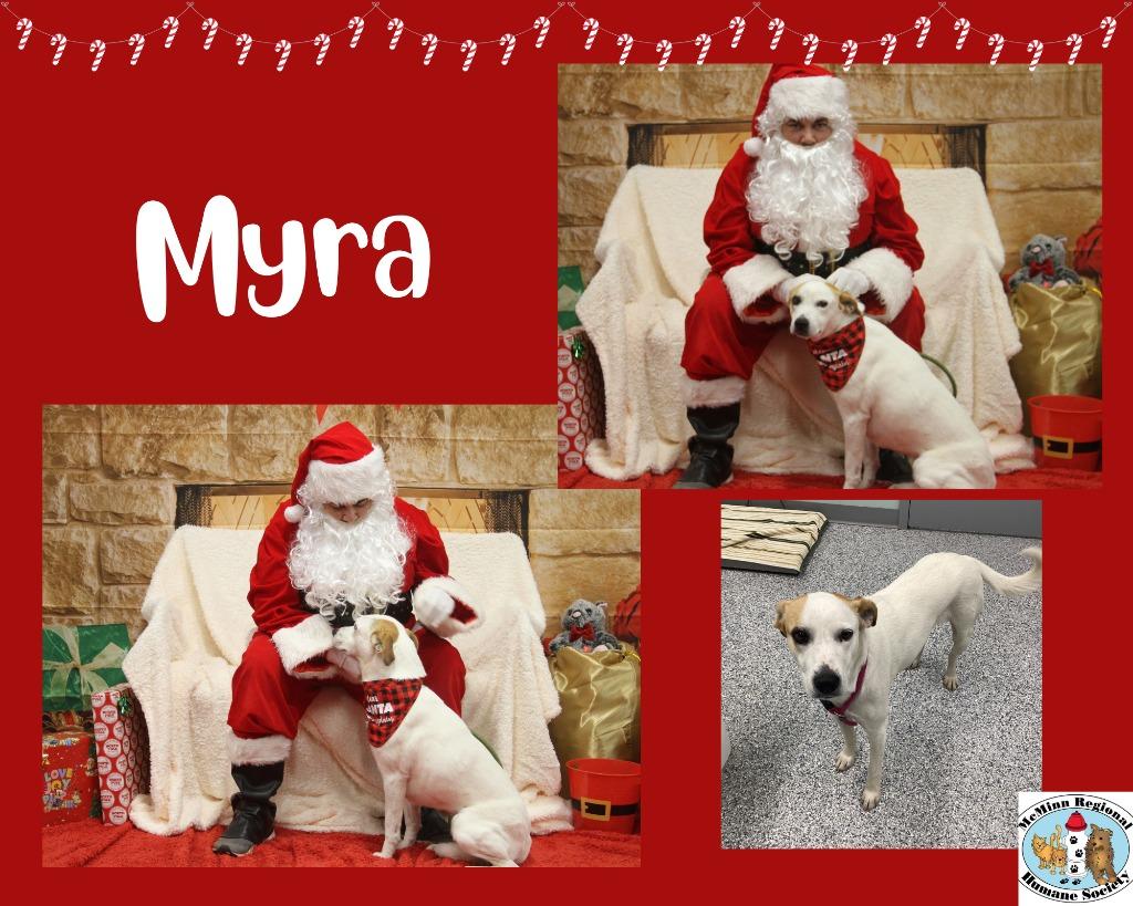Enlarge Myra, a Adoptable mixed breed in Athens, TN image 2/3