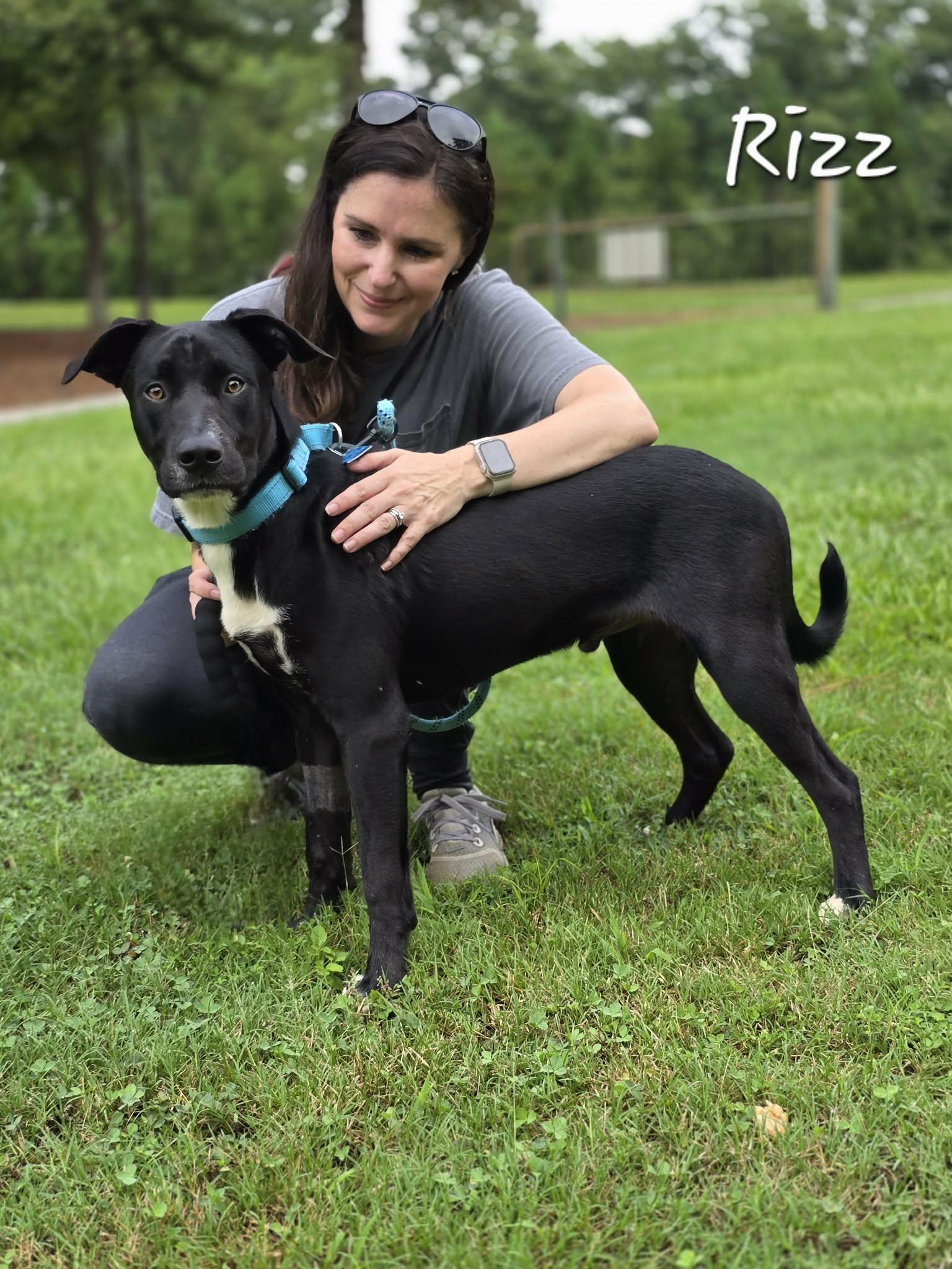 Enlarge Rizz, a ADOPTABLE mixed breed in Bishop, GA image 2/3
