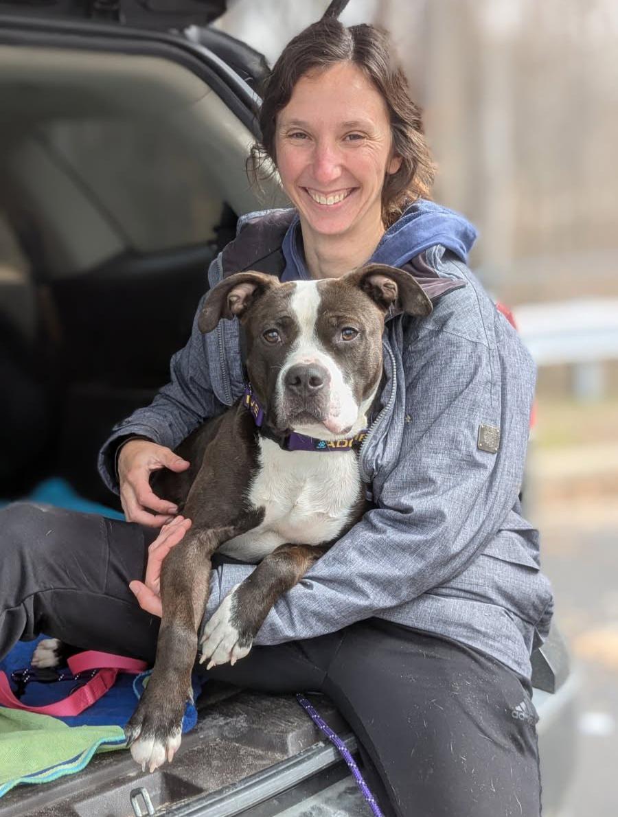 Mushu, Adoptable, Adult Female Mixed Breed.