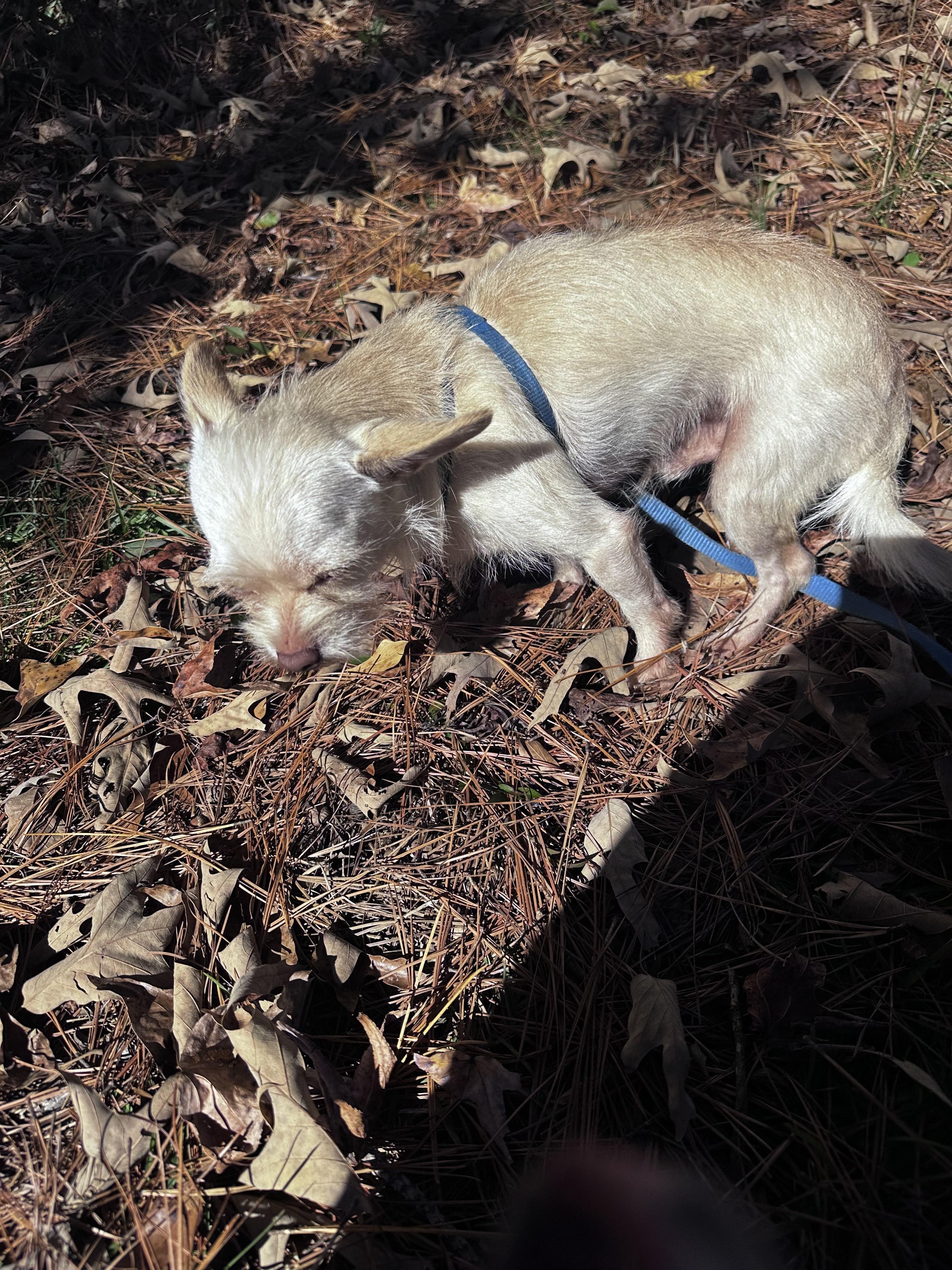Mary & Larry- URGENT- Due to incoming weather!