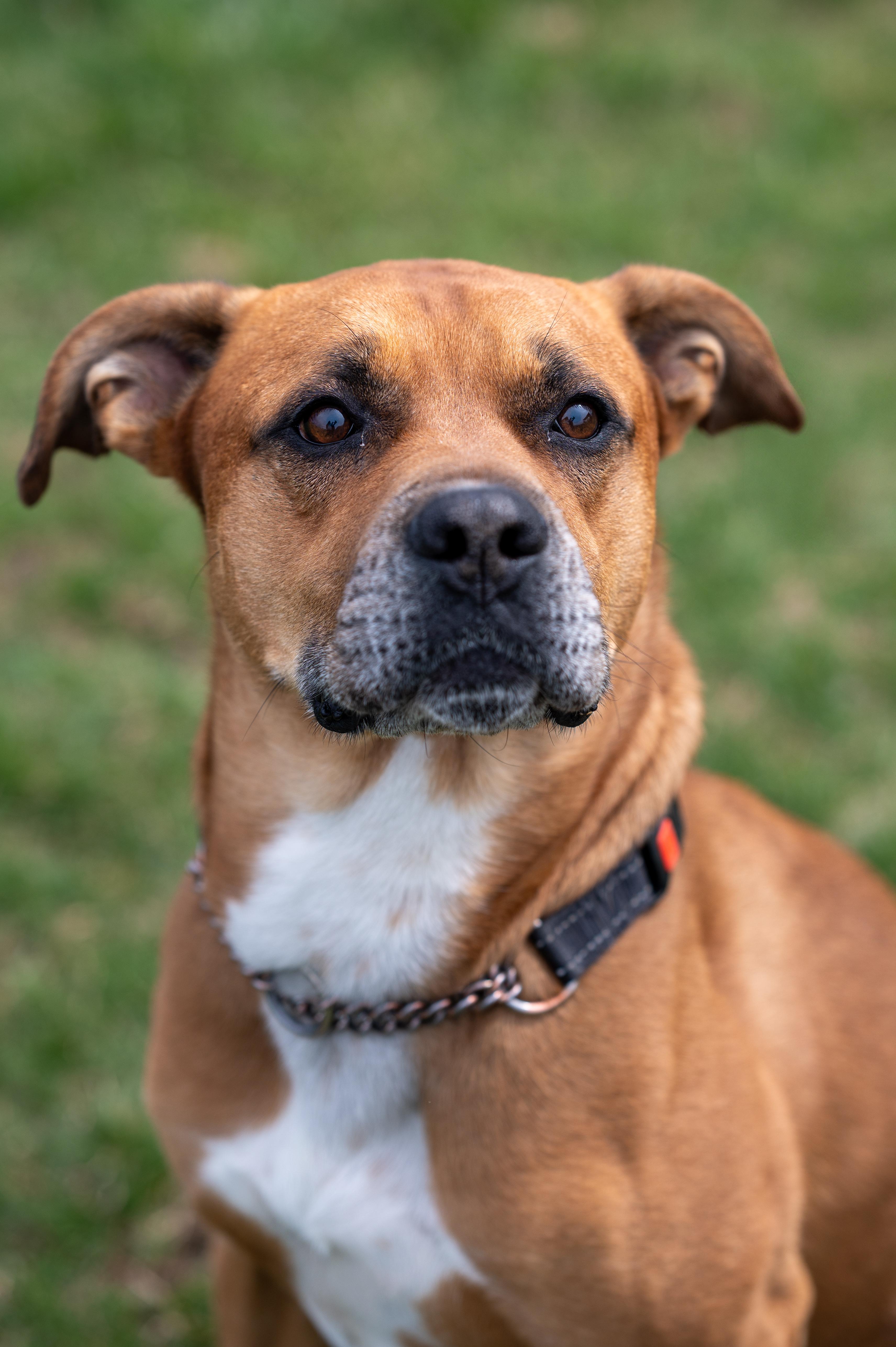 Buster photo 3