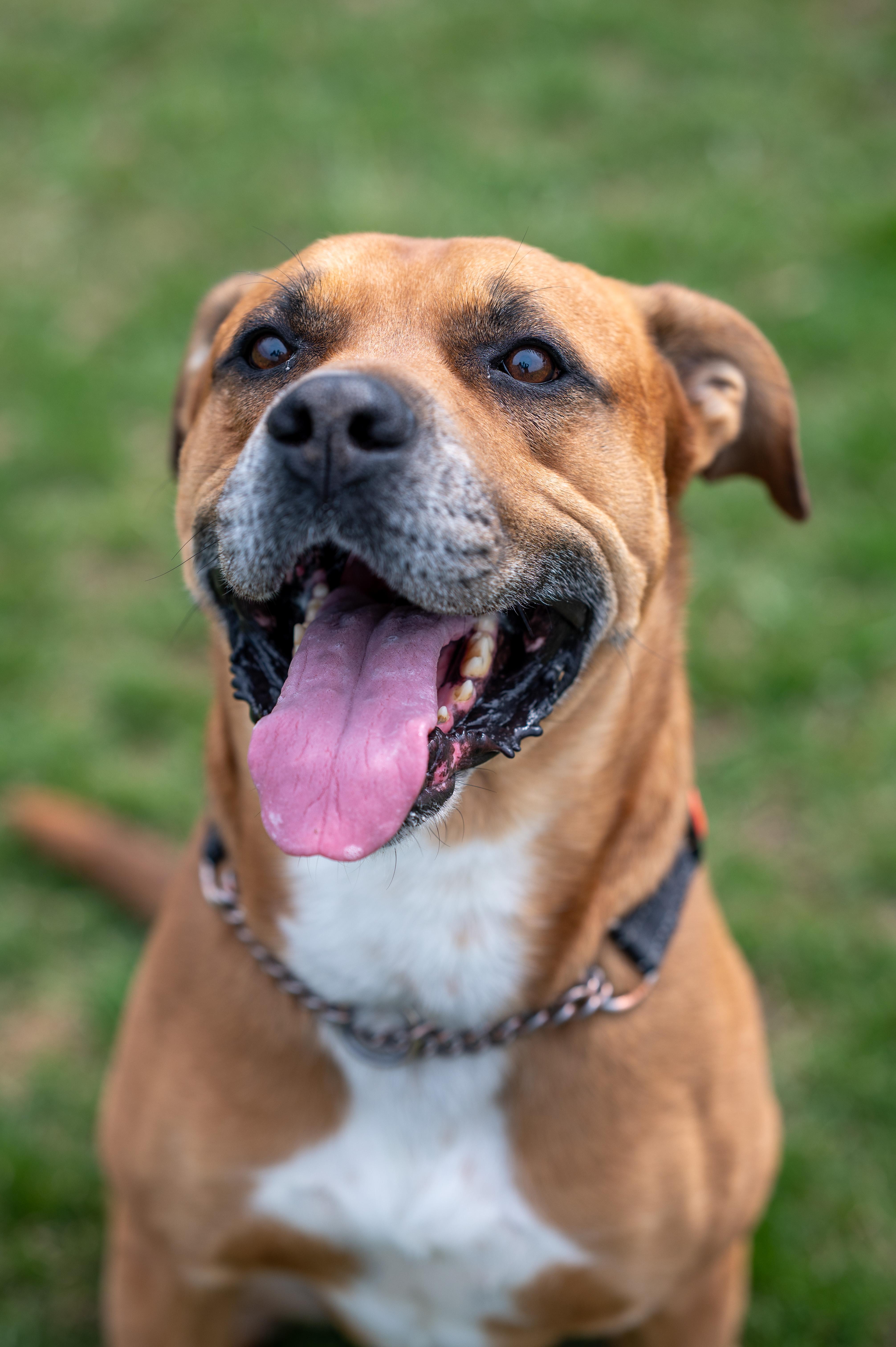 Buster photo 2