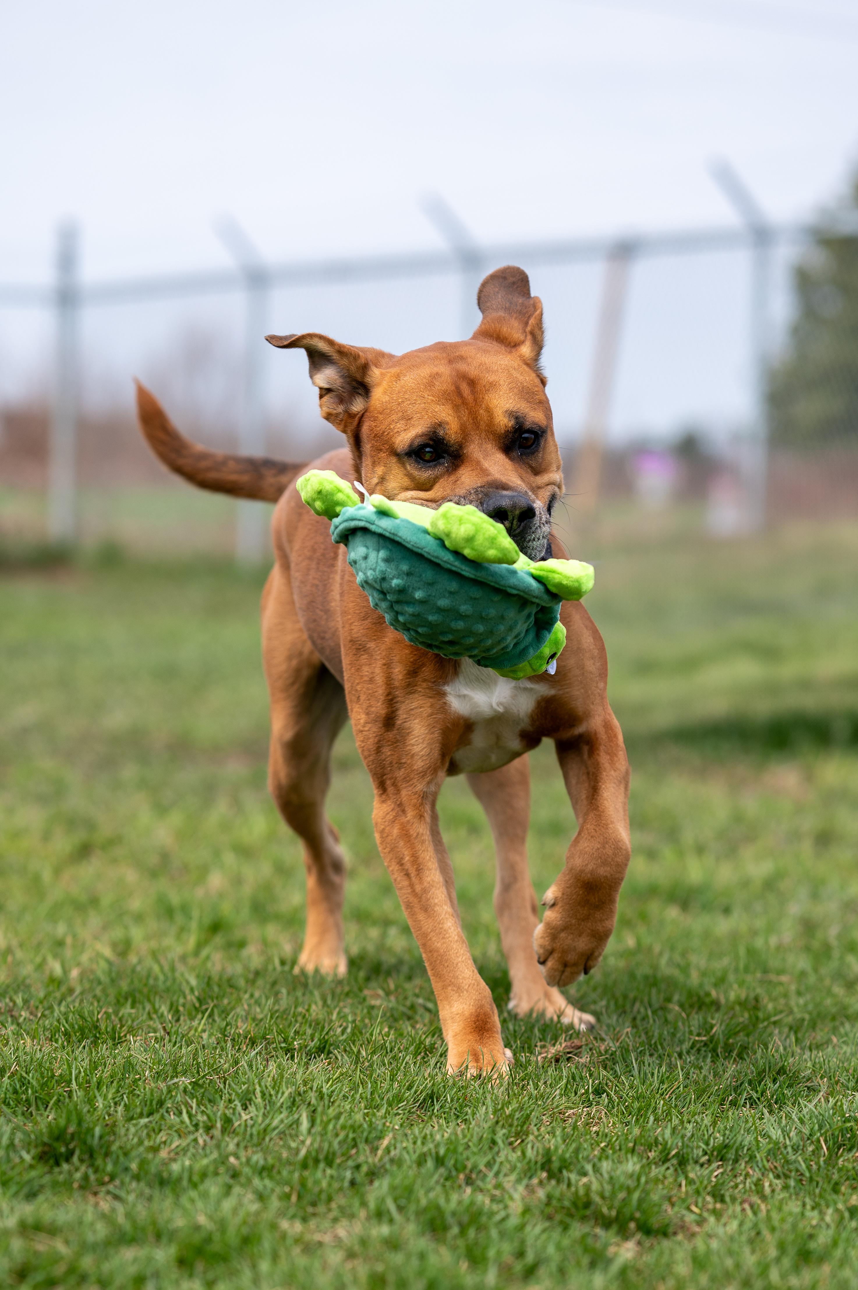 Buster photo 5