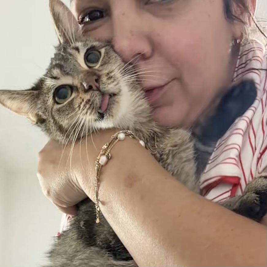 Stallone (SWEETEST EVER) — thumbnail 5